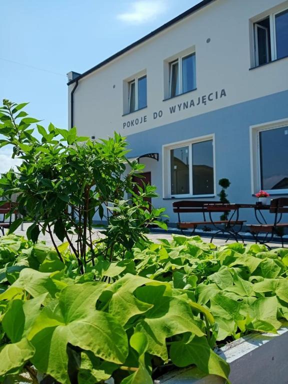 Aparthotel Pod Kogucikiem à Krzyzanowice Extérieur photo